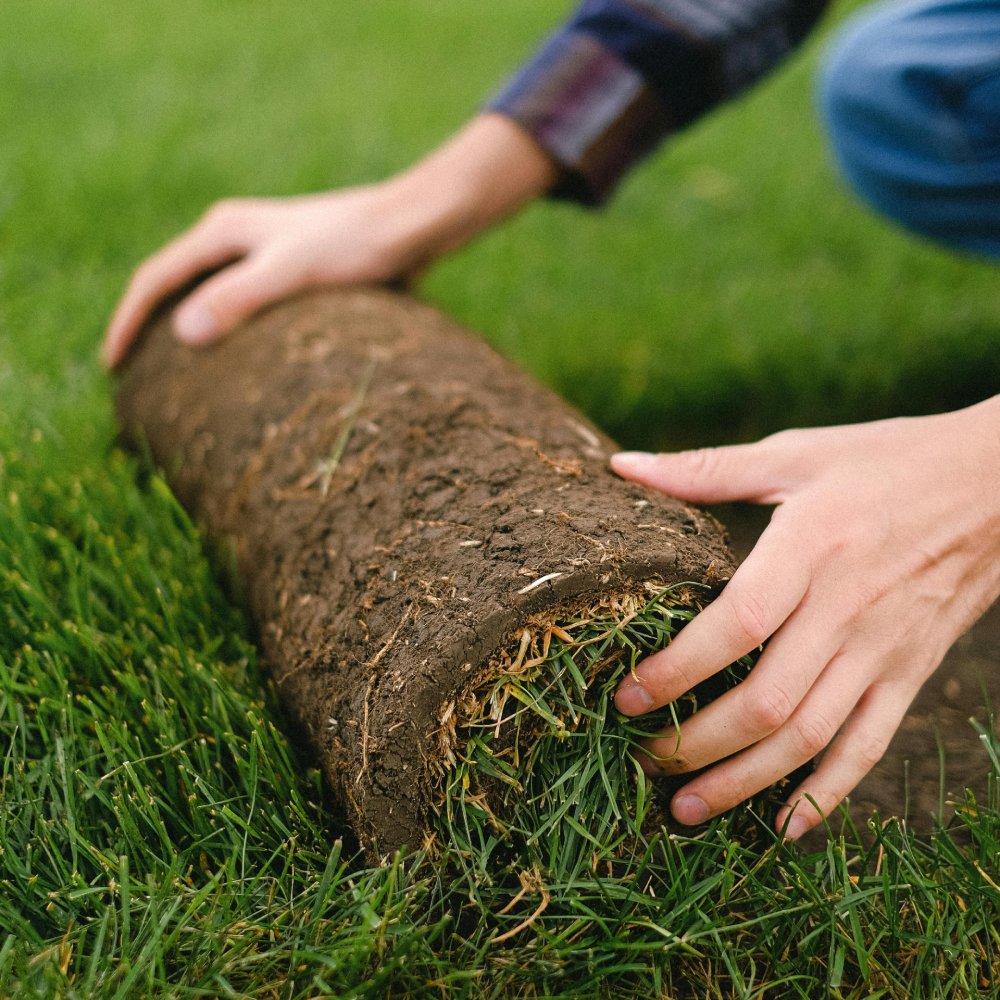 sod-and-grass-services-georgia